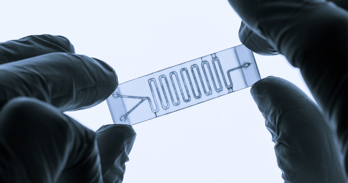 Organ on chip OOC and lab on chip LOC