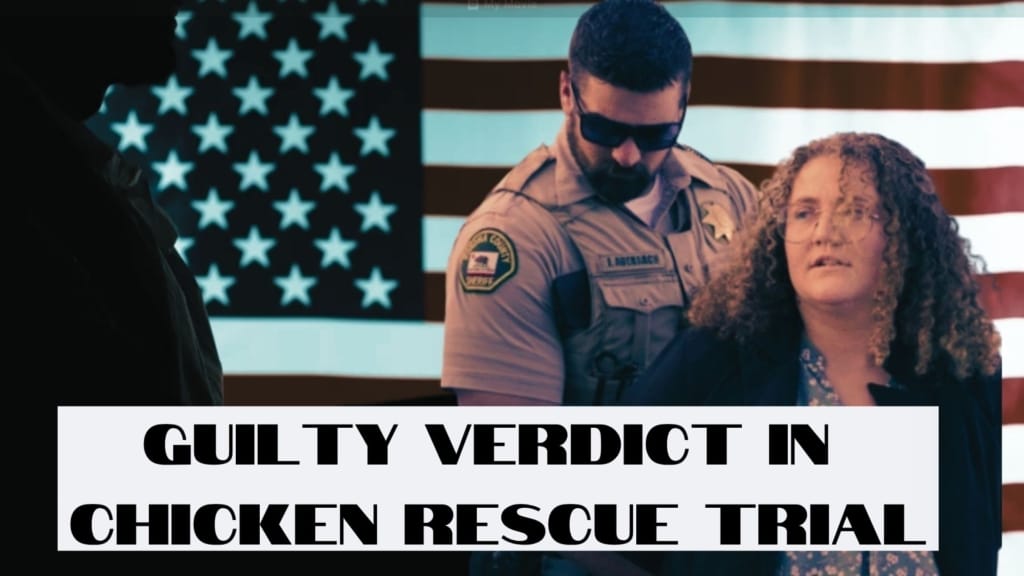 Guilty in Chicken Rescue Trial