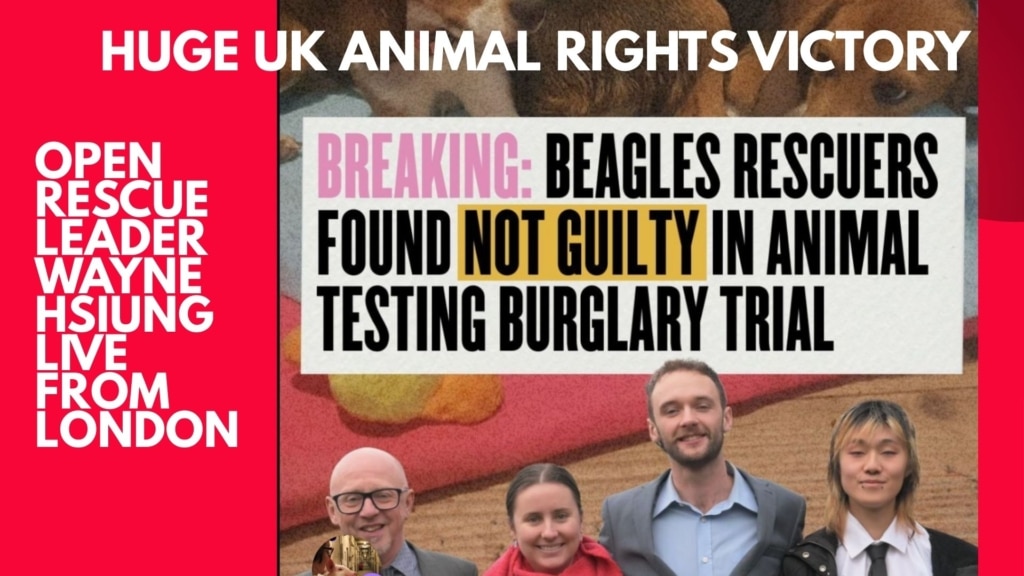 uk begale trial