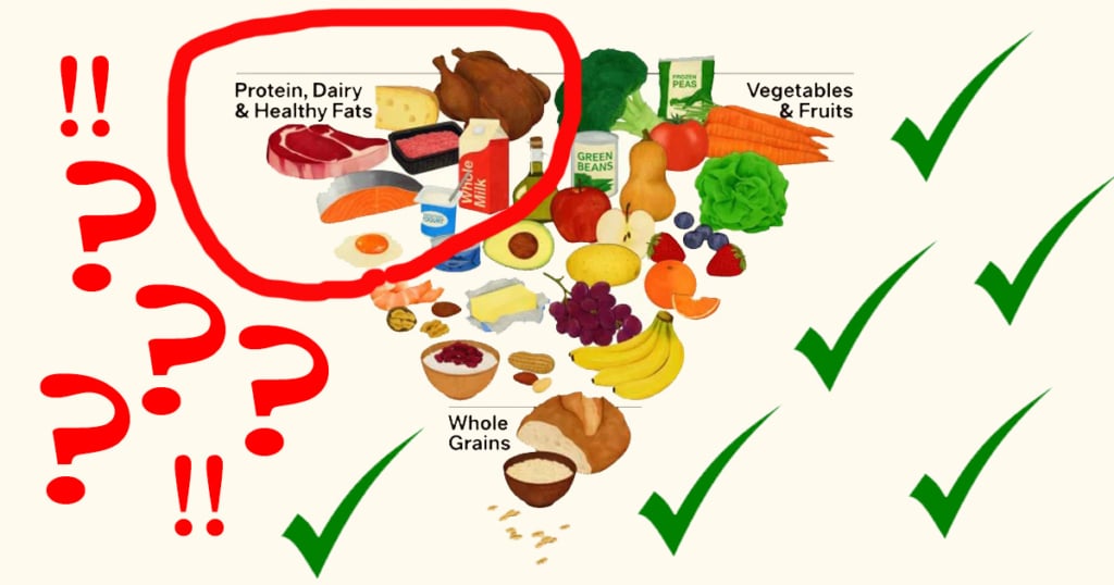 USDA USDHHS. Food Pyramid questioned