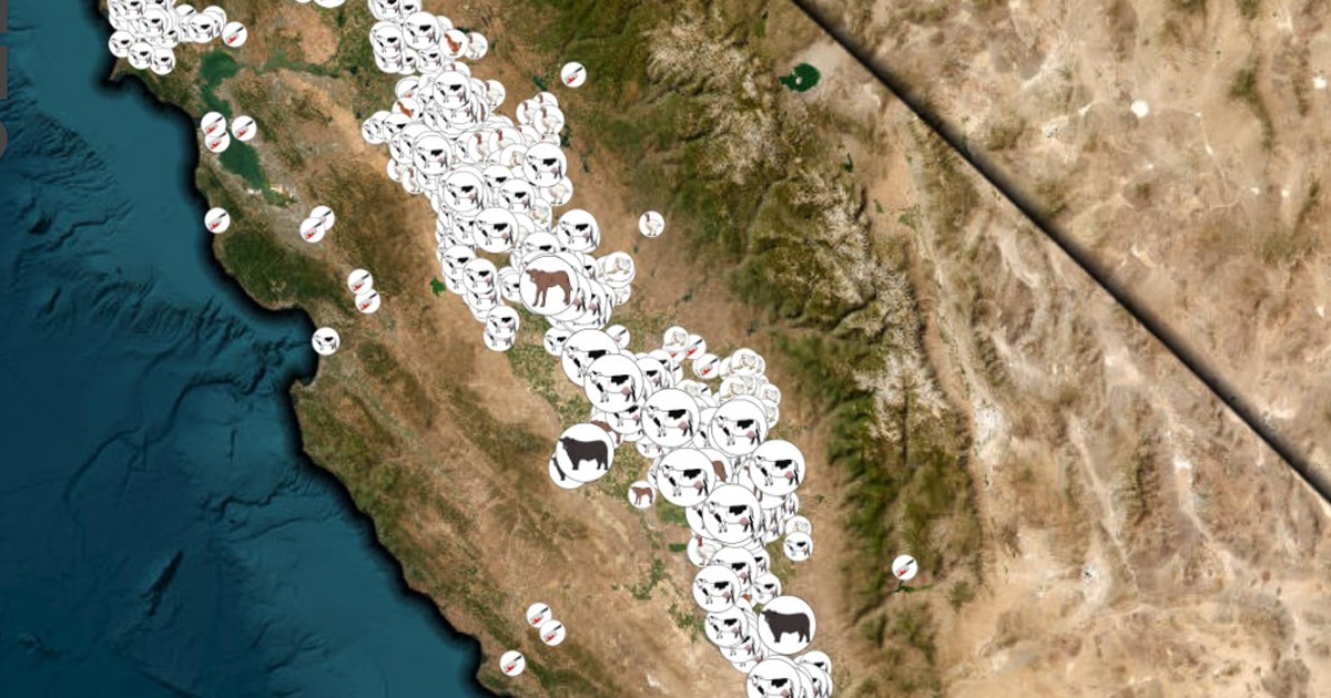 FactoryFarmWatch map from DxE