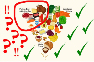 2026 US Food Pyramid