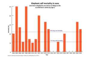 IDA Graph about elephant calf mortality in zoos