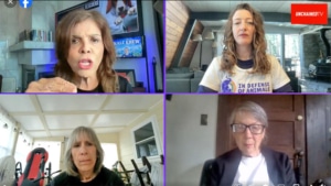 IDA team discussing the American War on Wildlife