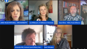 Panel discussing the plan to speed up slaughter lines