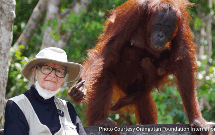 Dr. Biruté Galdikas dies