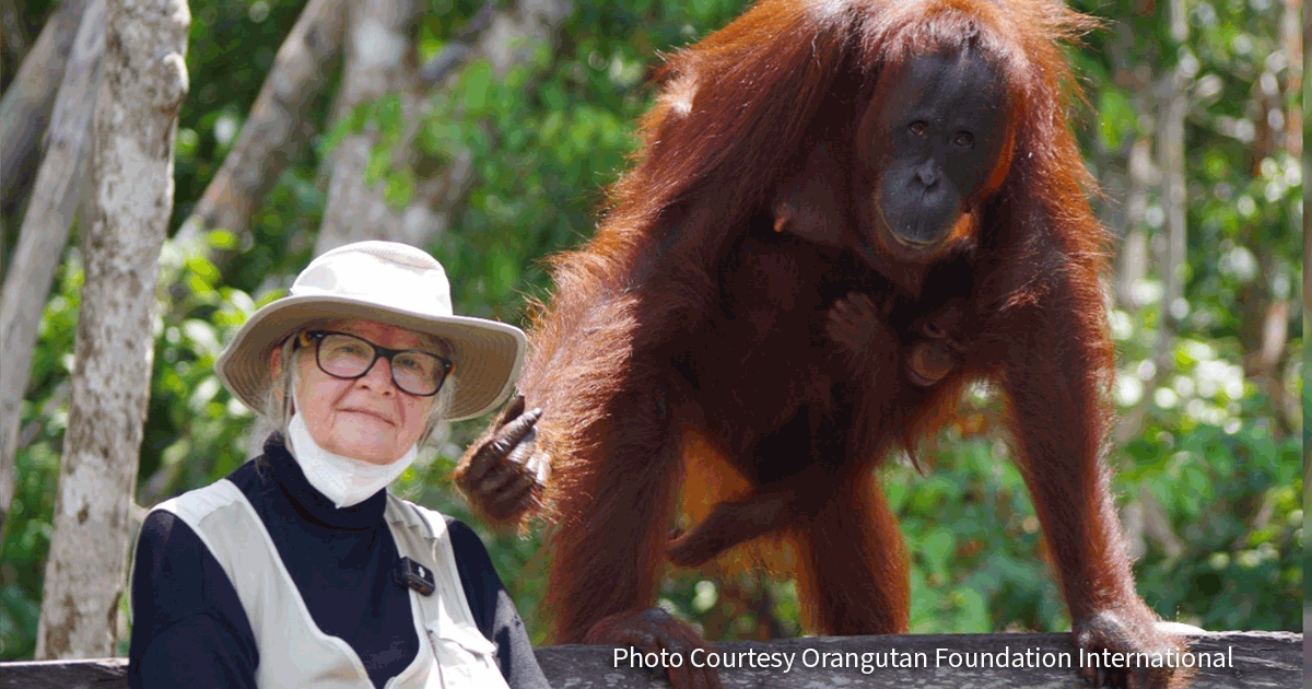 Dr. Biruté Galdikas dies