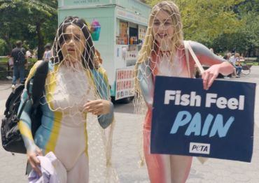 plant based news vegan reality show