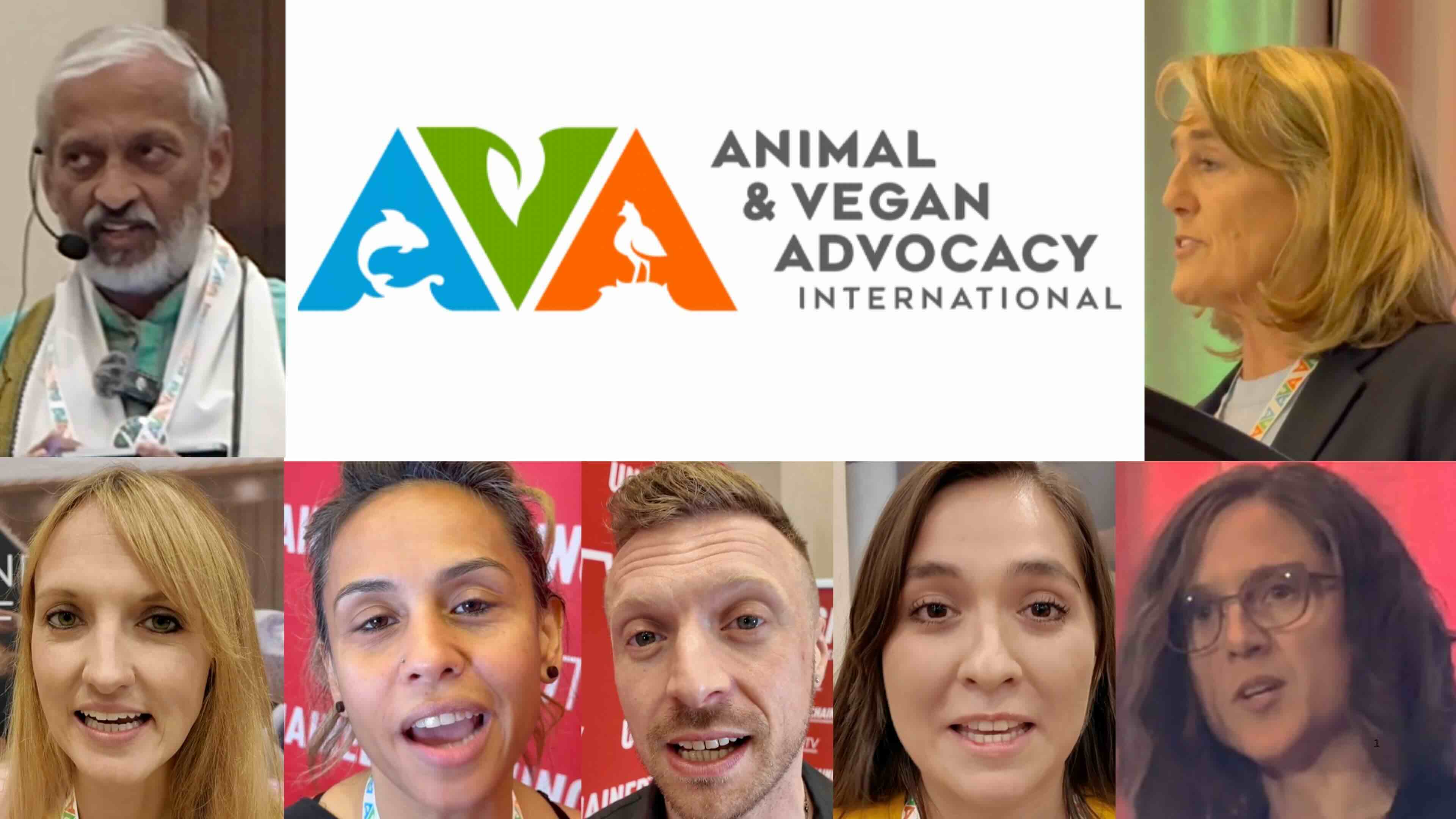 AVA summit 2026
