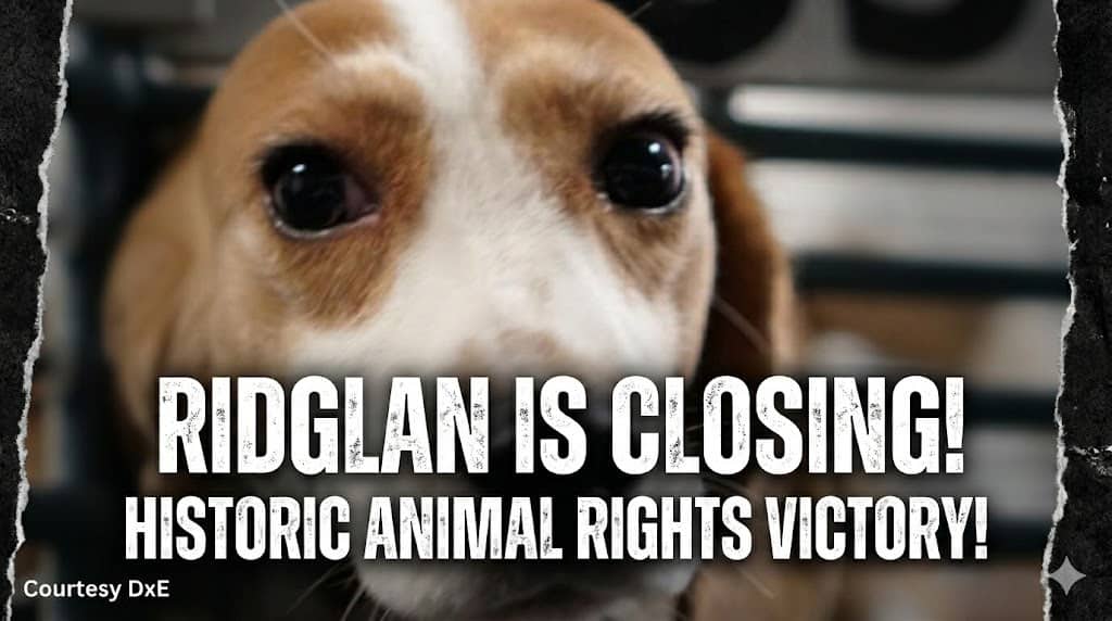 Ridglan is closing