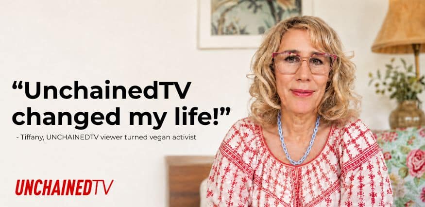 vegan tv network