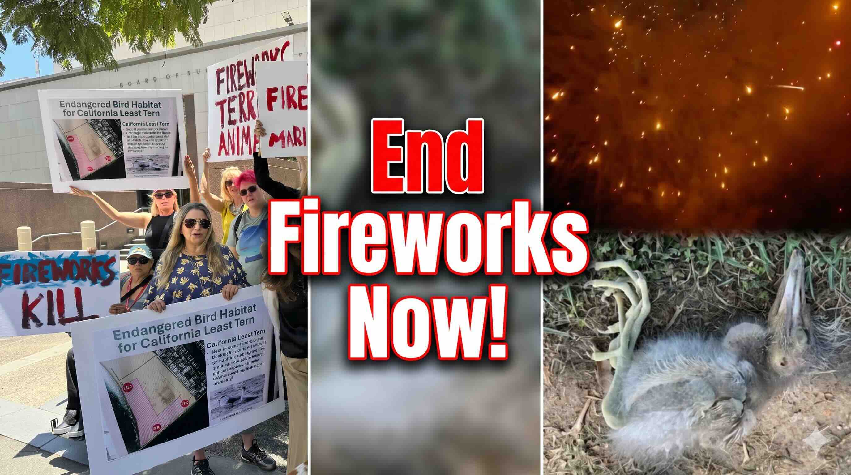 Anti-fireworks protest