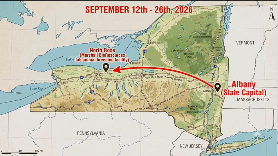 Map to March to End Animal Testing