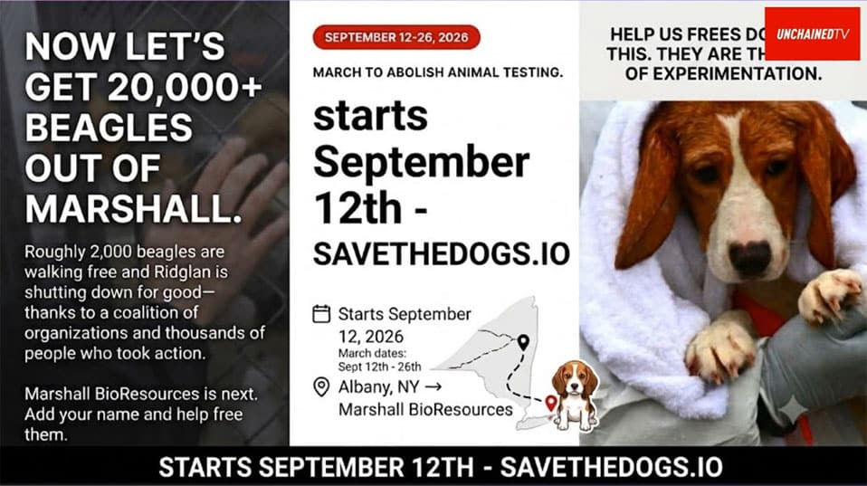 Poster of march to End Animal Testing