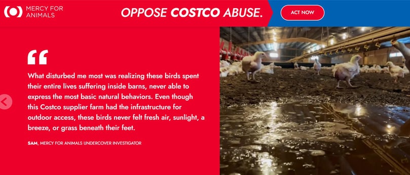 Mercy for Animals website aboput Costcos organic chicken investigation