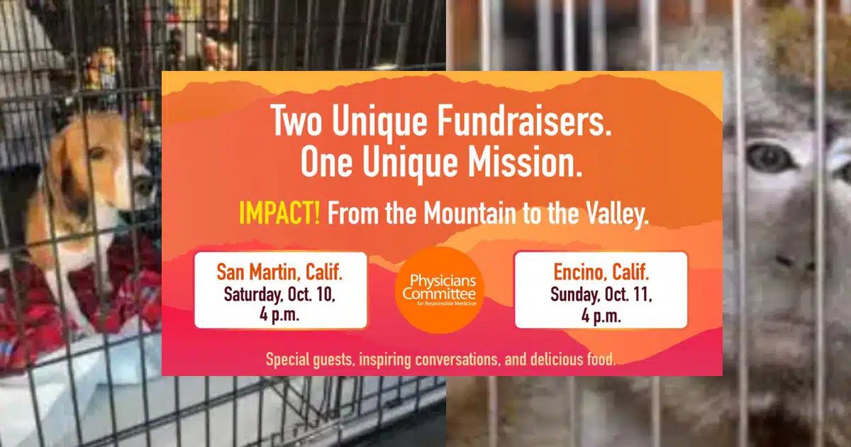 PCRM fundraisers