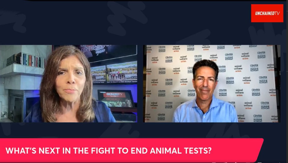 Jane Velez-Mitchell and Wayne Pacelle