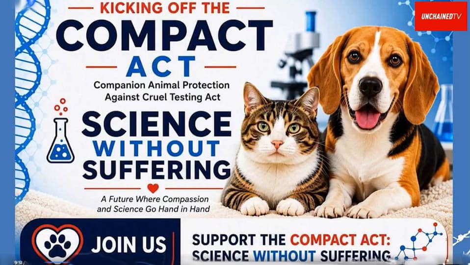 Support compact act