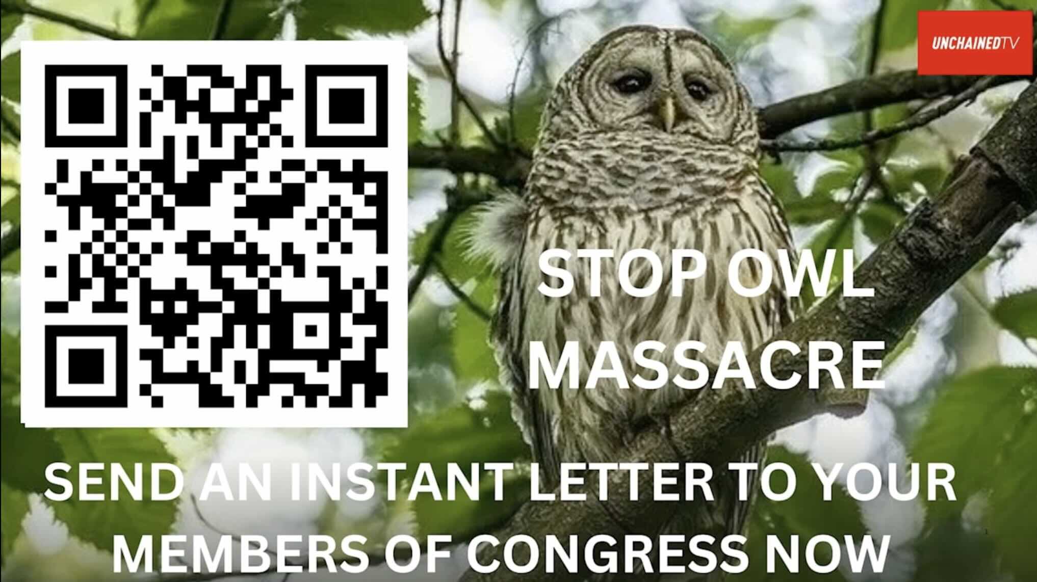 barred owl massacre